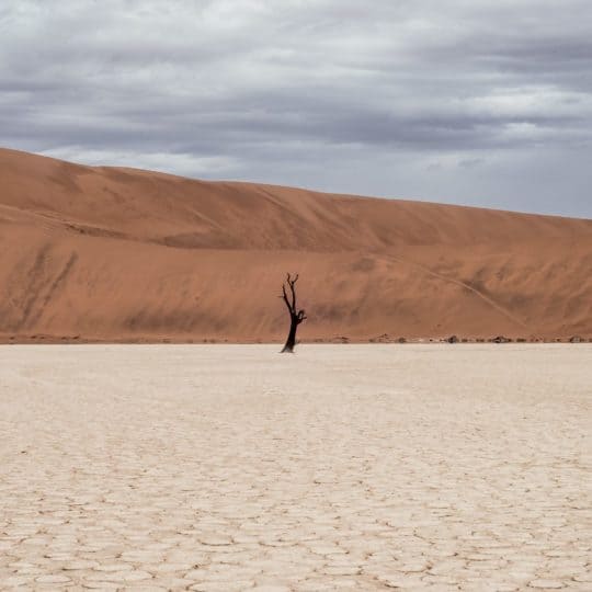 Superar la dependencia emocional